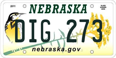 NE license plate DIG273