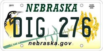 NE license plate DIG276