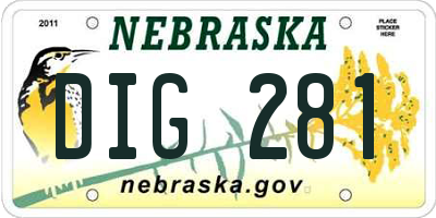NE license plate DIG281