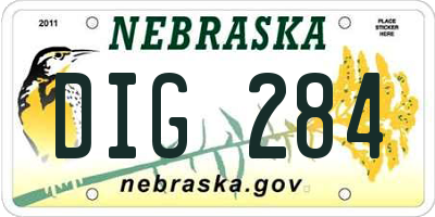 NE license plate DIG284
