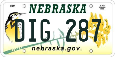 NE license plate DIG287