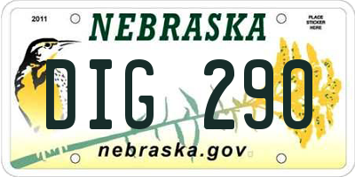 NE license plate DIG290