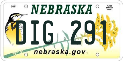 NE license plate DIG291