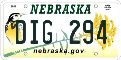 NE license plate DIG294