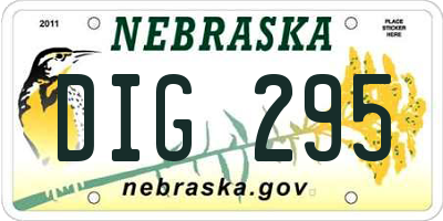 NE license plate DIG295