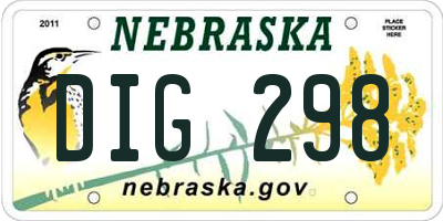 NE license plate DIG298