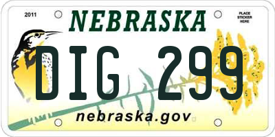 NE license plate DIG299