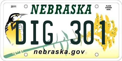 NE license plate DIG301
