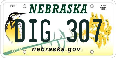 NE license plate DIG307