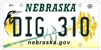 NE license plate DIG310