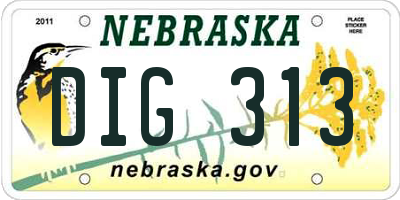 NE license plate DIG313