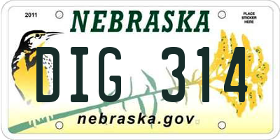 NE license plate DIG314