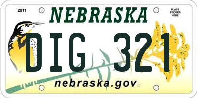 NE license plate DIG321