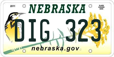 NE license plate DIG323