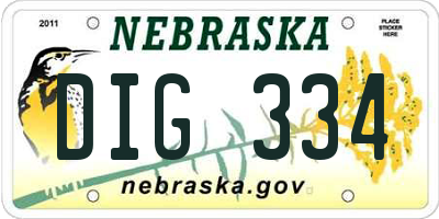 NE license plate DIG334