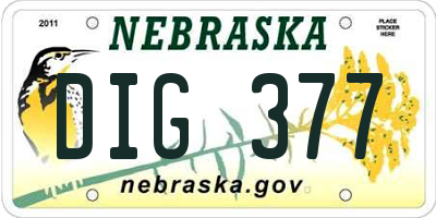 NE license plate DIG377