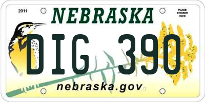 NE license plate DIG390