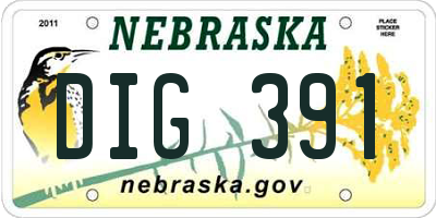 NE license plate DIG391