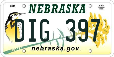 NE license plate DIG397