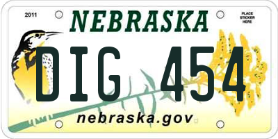 NE license plate DIG454