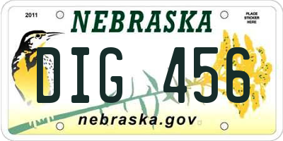NE license plate DIG456