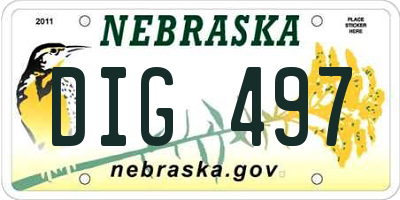NE license plate DIG497