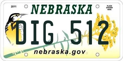 NE license plate DIG512