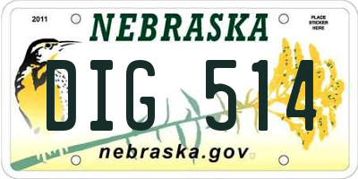 NE license plate DIG514