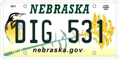 NE license plate DIG531