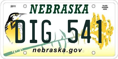 NE license plate DIG541