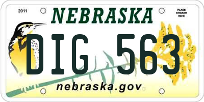 NE license plate DIG563
