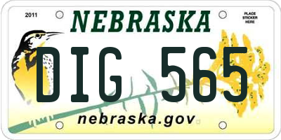 NE license plate DIG565