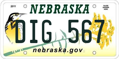 NE license plate DIG567