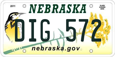 NE license plate DIG572