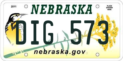 NE license plate DIG573