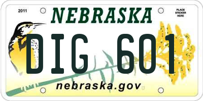 NE license plate DIG601