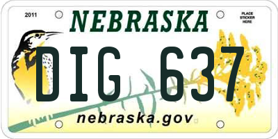 NE license plate DIG637