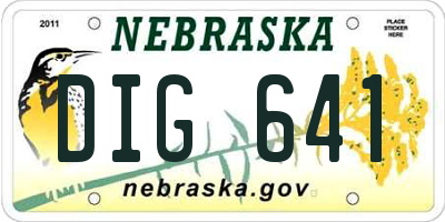 NE license plate DIG641