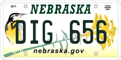 NE license plate DIG656