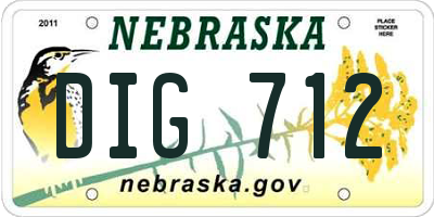 NE license plate DIG712