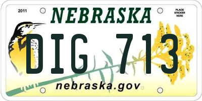 NE license plate DIG713