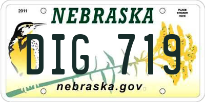 NE license plate DIG719