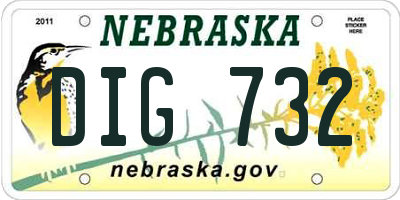 NE license plate DIG732