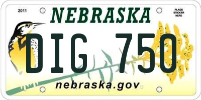 NE license plate DIG750