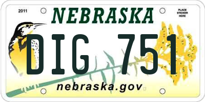 NE license plate DIG751