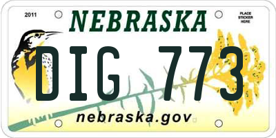 NE license plate DIG773