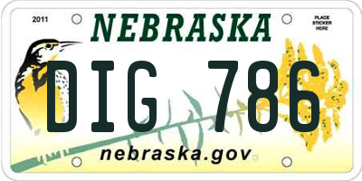 NE license plate DIG786