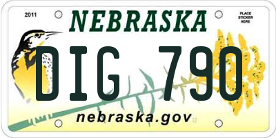 NE license plate DIG790