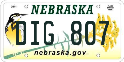 NE license plate DIG807