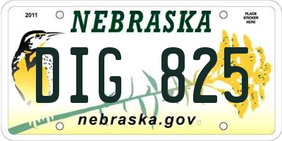 NE license plate DIG825
